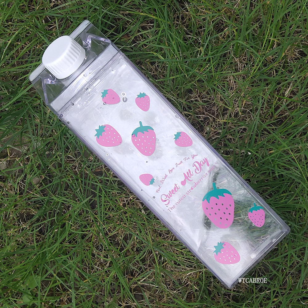 Bottiglia d'acqua da 500 ml Bi - Sports Equipment Kitchener recensione e prezzo
